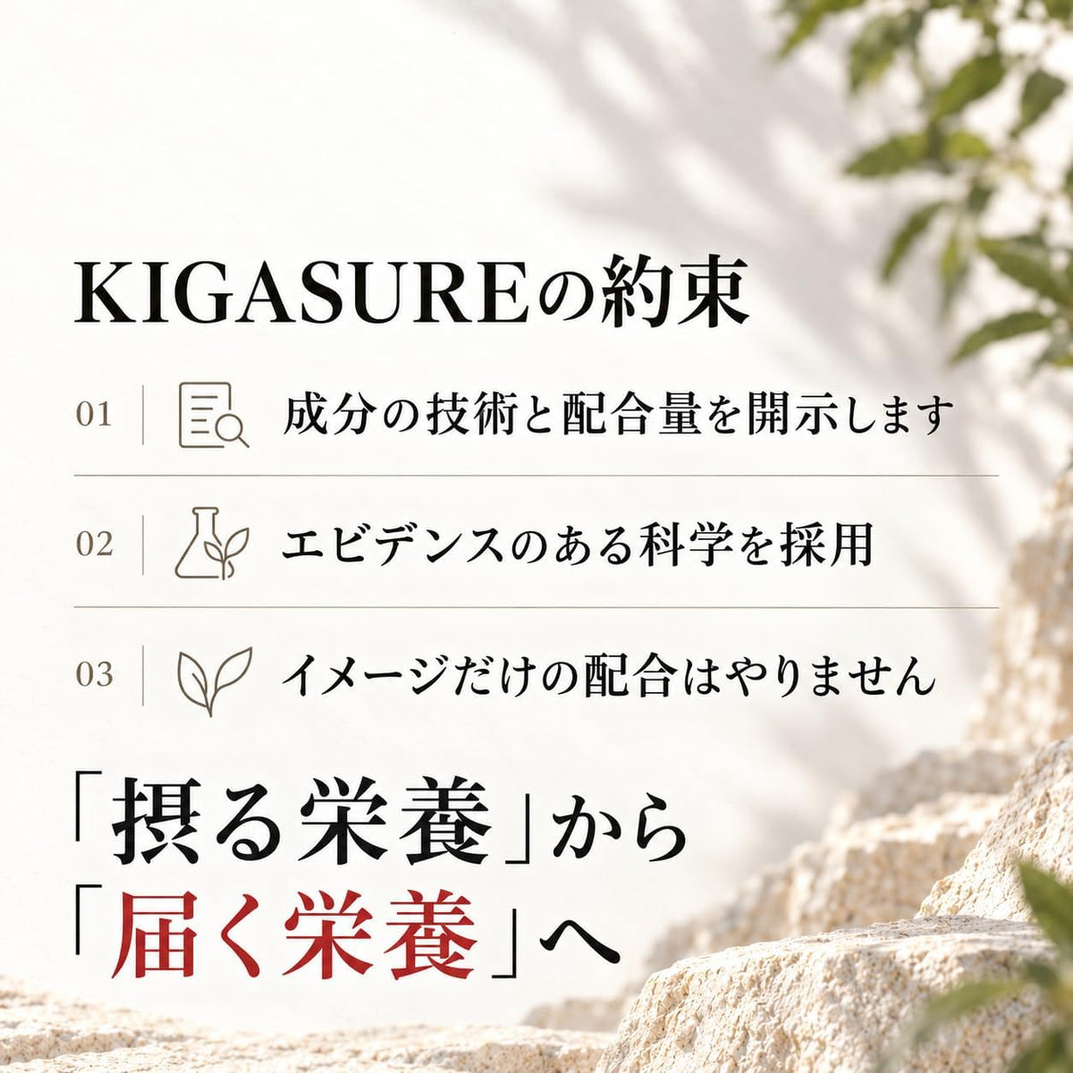 リポソーム 鉄分 サプリ 60粒 |鉄 15mg 葉酸 200μg ビタミンB6 1.4mg B12 4.0μg 銅 0.6mg