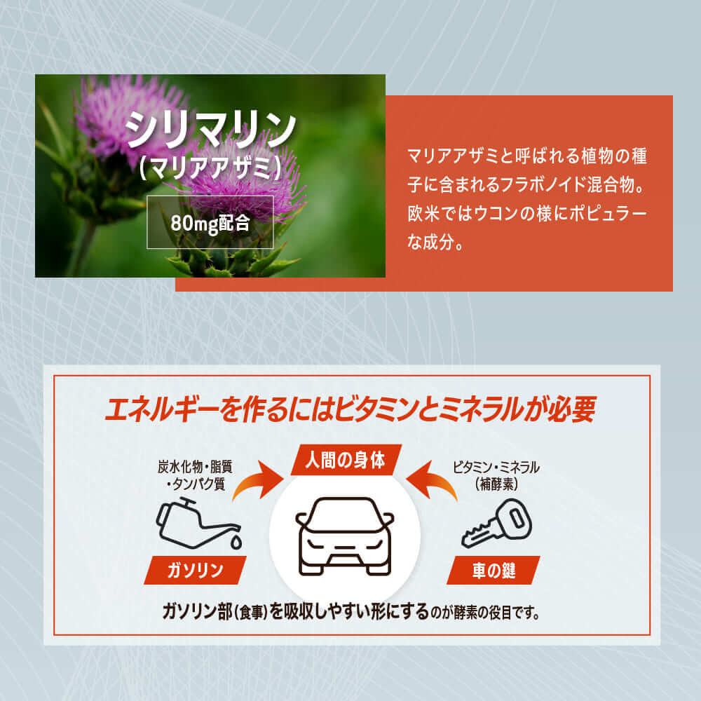 【カズレーザーと学ぶで成分紹介】 Re;BONE(リボーン) 酢酸菌酵素 配合 活力 サプリメント 60粒