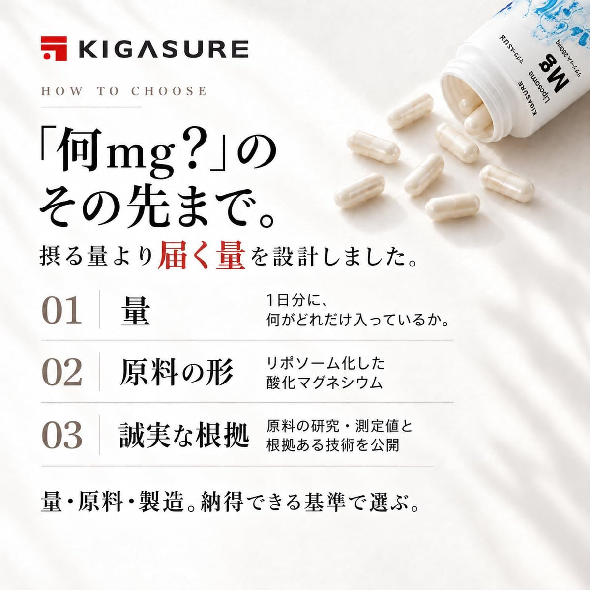 リポソーム マグネシウム サプリ 120粒 ｜ リポソーム 酸化マグネシウム 280mg