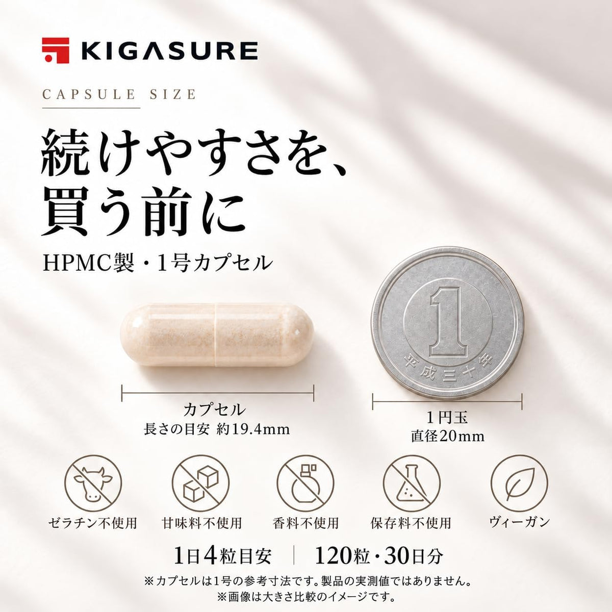 リポソーム ビタミンC + 共結晶ビタミンE サプリ 120粒｜リポソームビタミンC 1000mg + 共結晶ビタミンE 50mg Liposome Cocrystal C+E