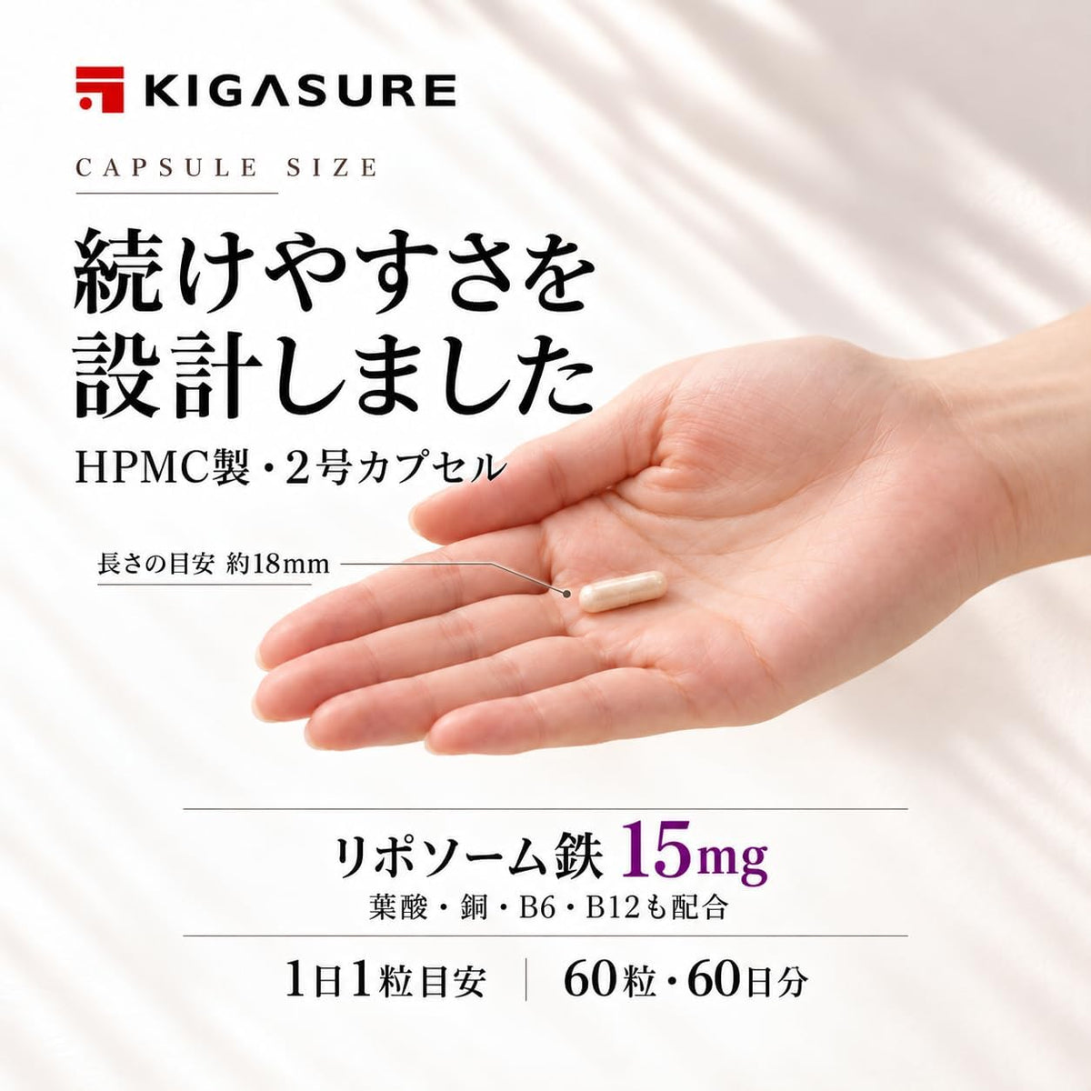 リポソーム 鉄分 サプリ 60粒 ｜鉄 15mg 葉酸 200μg ビタミンB6 1.4mg B12 4.0μg 銅 0.6mg