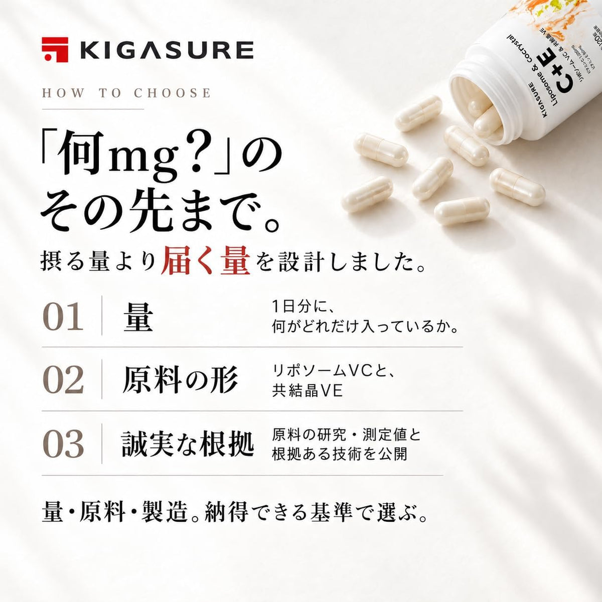 リポソーム ビタミンC + 共結晶ビタミンE サプリ 120粒｜リポソームビタミンC 1000mg + 共結晶ビタミンE 50mg Liposome Cocrystal C+E