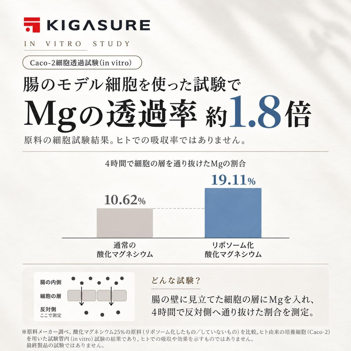 リポソーム マグネシウム サプリ 120粒 ｜ リポソーム 酸化マグネシウム 280mg