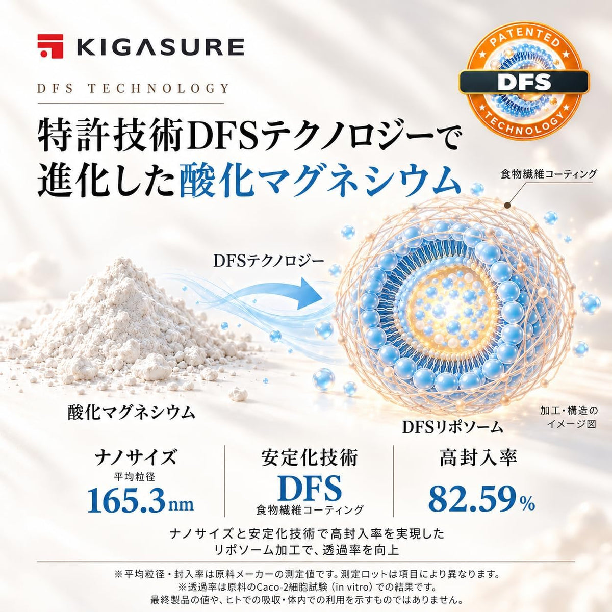 リポソーム マグネシウム サプリ 120粒 ｜ リポソーム 酸化マグネシウム 280mg