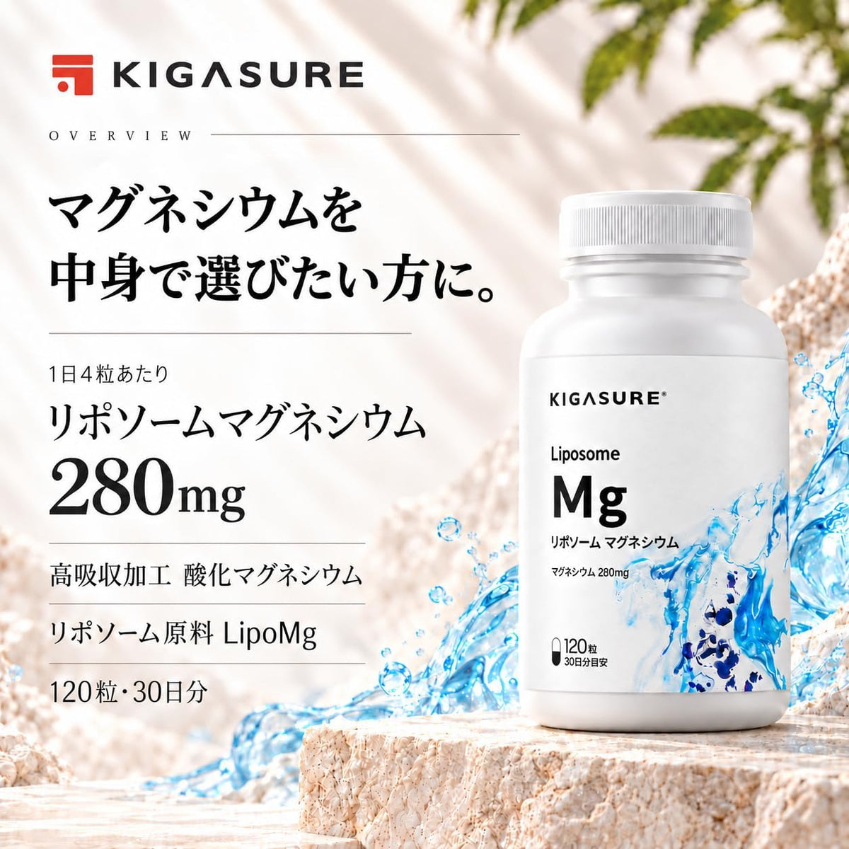 リポソーム マグネシウム サプリ 120粒 ｜ リポソーム 酸化マグネシウム 280mg