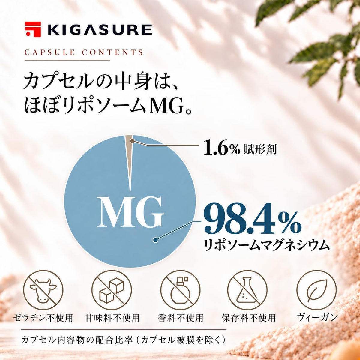 リポソーム マグネシウム サプリ 120粒 ｜ リポソーム 酸化マグネシウム 280mg