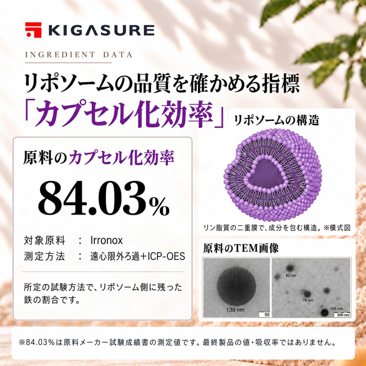 リポソーム 鉄分 サプリ 60粒 ｜鉄 15mg 葉酸 200μg ビタミンB6 1.4mg B12 4.0μg 銅 0.6mg
