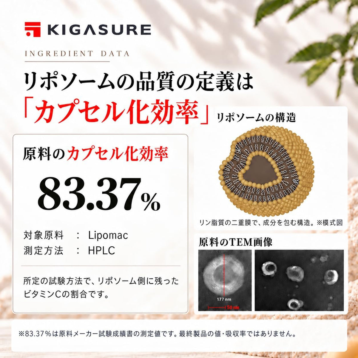 リポソーム ビタミンC + 共結晶ビタミンE サプリ 120粒｜リポソームビタミンC 1000mg + 共結晶ビタミンE 50mg Liposome Cocrystal C+E