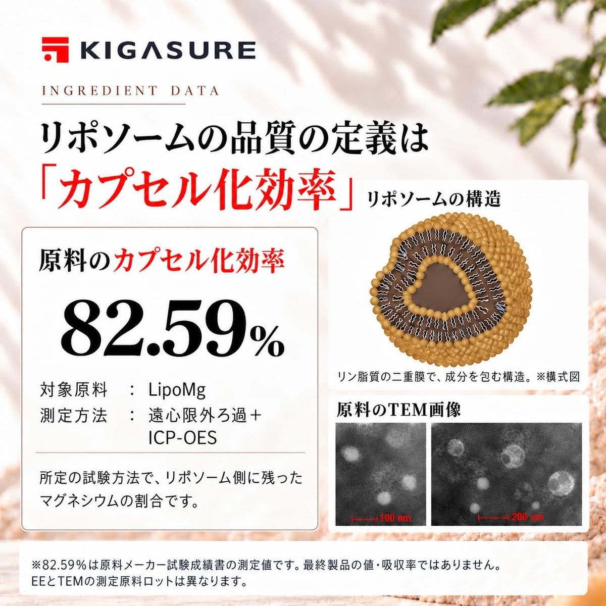 リポソーム マグネシウム サプリ 120粒 ｜ リポソーム 酸化マグネシウム 280mg