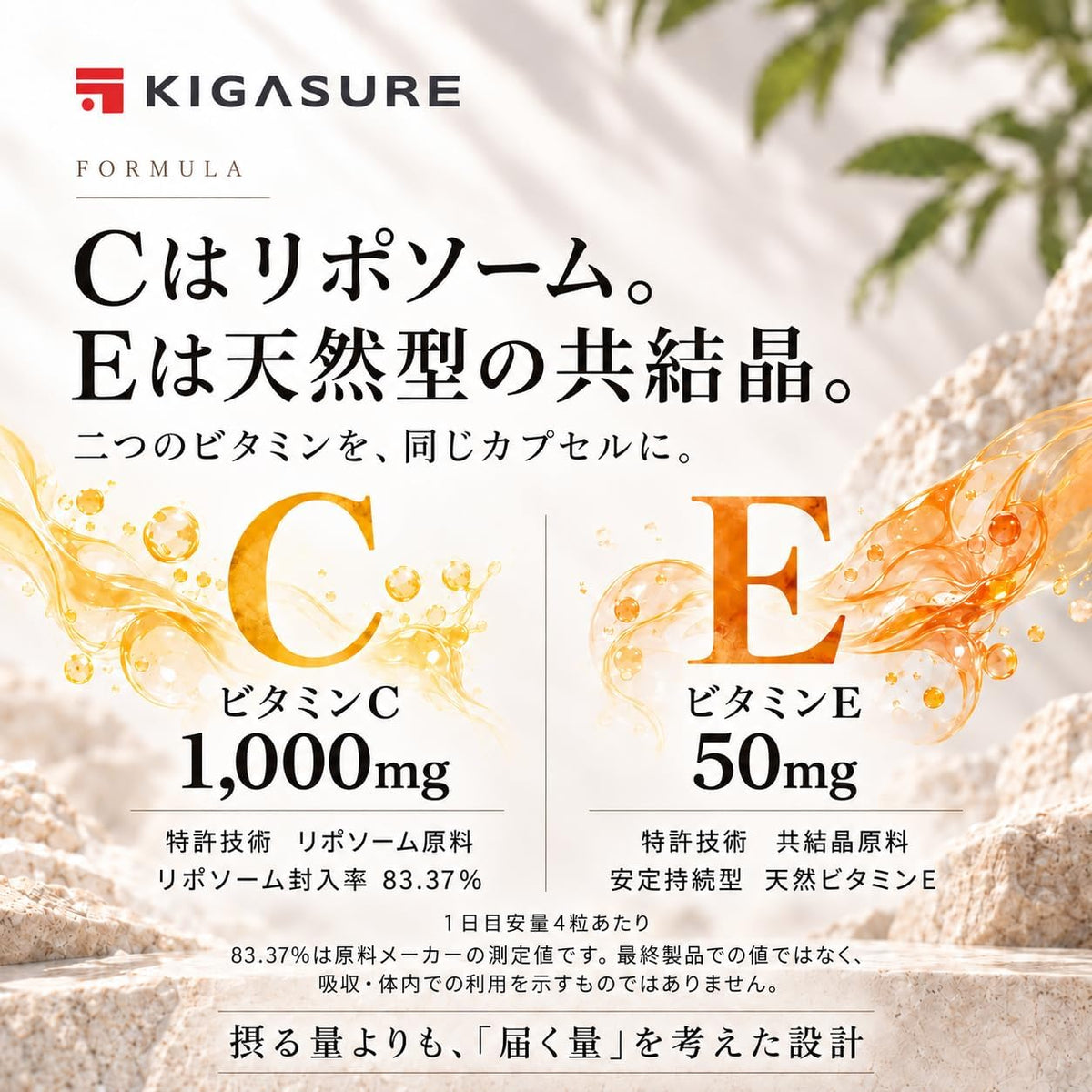 リポソーム ビタミンC + 共結晶ビタミンE サプリ 120粒｜リポソームビタミンC 1000mg + 共結晶ビタミンE 50mg Liposome Cocrystal C+E