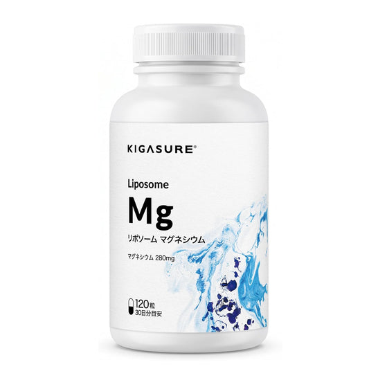 リポソーム マグネシウム サプリ 120粒 ｜ リポソーム 酸化マグネシウム 280mg